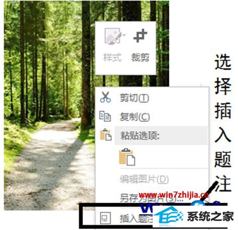 win10系统word文档图片怎么设置自动编号