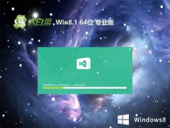 ײwin8.1 64λ ⼤๦ܰv2024.04