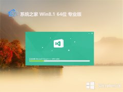 ϵͳ֮win8.164λv2025.04