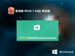 ë⼤win8.1 64λˬv2024.04