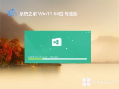 ϵͳ֮v2025.04win11 64λƶ