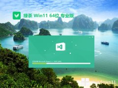 ̲ϵͳwin11 64λ ⼤v2025.04