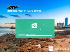 ľwin11 64λ޹콢v2025.04⼤