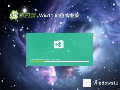 ײv2024.04win11 64λϷӢ