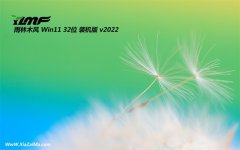 雨林木风最新32位win11经典抢先版v2022.02